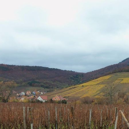 אורשווילר Apartment Route Du Vin Centre Alsace חדר תמונה