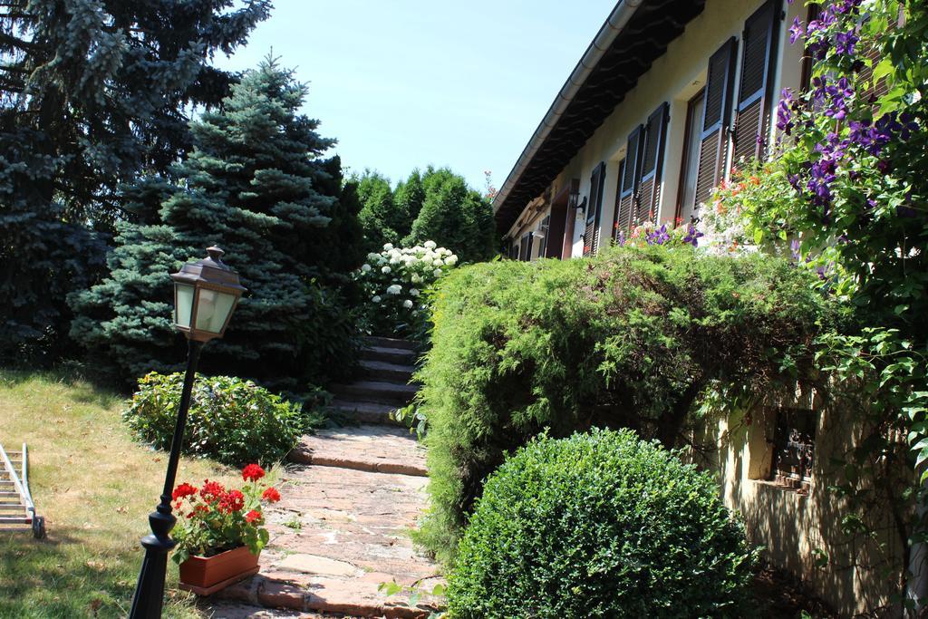 אורשווילר Apartment Route Du Vin Centre Alsace חדר תמונה